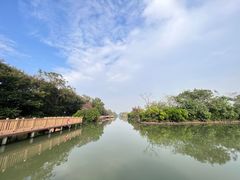 -大湾区中央湿地公园