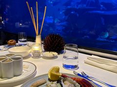 -迪拜帆船酒店海底餐厅