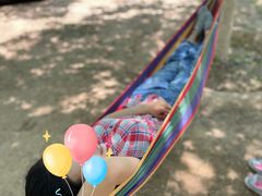 -永定河休闲森林公园