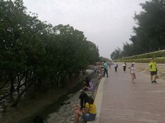 -宝安西湾红树林湿地公园