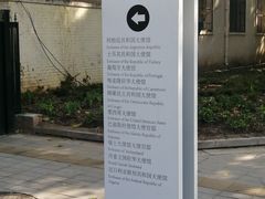 -三里屯东五街银杏大道