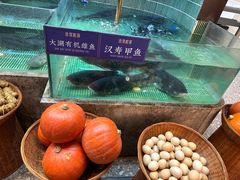 -鱼你相聚·河鲜馆(袁家岭店)
