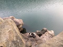 -白马涧龙池景区