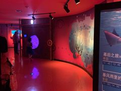 -沈阳海洋探索中心