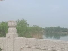 -南湖国家城市湿地公园