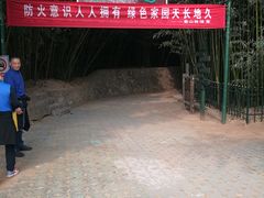 -鲁山国家森林公园