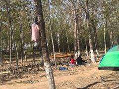 -东郊湿地公园