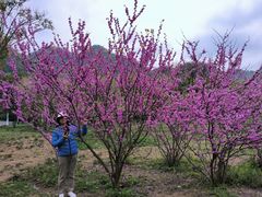 -贵阳市花溪国家城市湿地公园