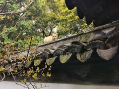 -秋霞圃