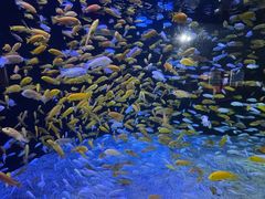 -成都浩海立方海洋公园