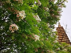 -北京石刻艺术博物馆(五塔寺)