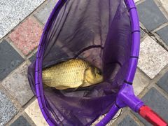 -酷鱼垂钓CLUB(朝阳区博大路店 )