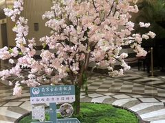 -古南都饭店-遂心遂意自助餐厅(广州路店)