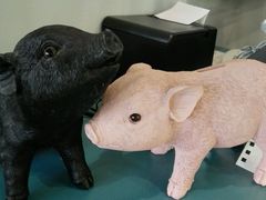 -WHEN PIGS FLY当猪飞