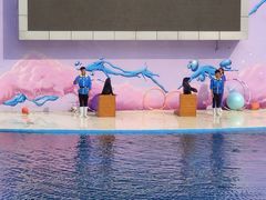 -北戴河圣蓝海洋公园