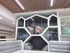 -碧中海汤泉汗蒸酒店