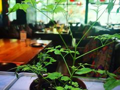 -望京一号·重庆江湖菜(工体店)