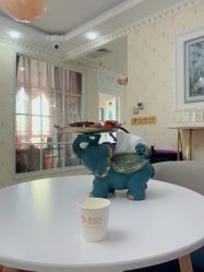 点击看大图 -安院长·产后恢复·徒手骨盆(先天下店)