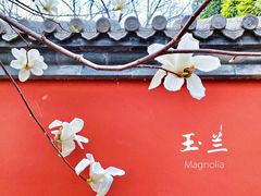 -天坛公园