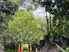 -瑞丽独树成林风景区