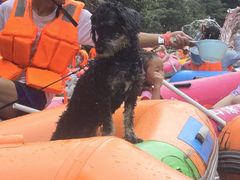 -安吉龙王山峡谷漂流