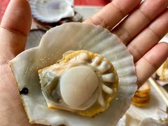 -叶存利海鲜大馅饺子(海宁路总店)
