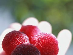 -东山风景区(洞庭东山)