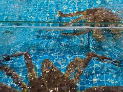 -三亚火车头万人海鲜广场