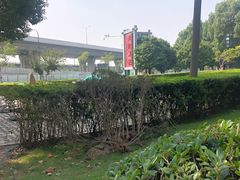 -阮氏酒家(柯桥店)
