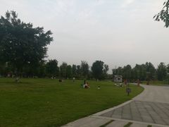 -眉山湿地公园(东坡区)