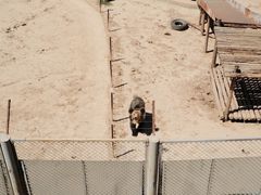 -青藏高原野生动物园