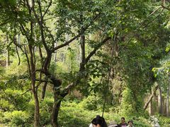 -西安秦岭野生动物园