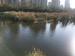 -前关湿地公园
