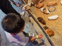 -酷嗒动物文化乐园(cutezoo西溪乐天城店)