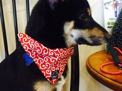 -多卡布奇宠物生活馆(上林世家店)