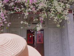 -深圳国际园林花卉博览园