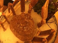 生冻雪蟹-舞泽日式丼饭