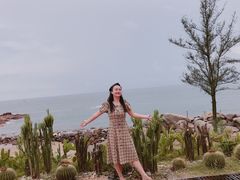 -广东惠东海龟国家级自然保护区