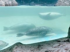 -蓬莱欧乐堡海洋极地世界