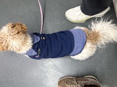 -爱侣宠医·鹦鹉专科·小型哺乳类·异宠专科(灵石路店)
