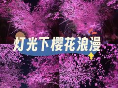 -洛龙公园