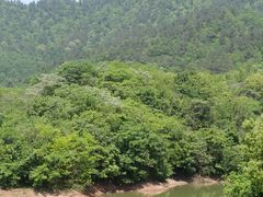 -敬亭山风景名胜区