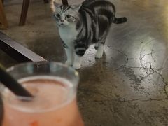 -咖法森林·咖啡  酒吧(天河店)