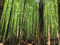 -山王坪喀斯特国家生态公园