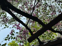 -深圳国际园林花卉博览园