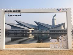 -盐城丹顶鹤湿地生态旅游区