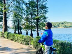 -南国桃园旅游度假区