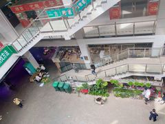 -花鸟鱼虫鲜花绿植市场(玉泉路店)