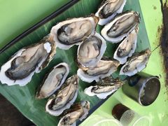 大笨象钓虾场-小象钓虾·营地烧烤(洛溪店)