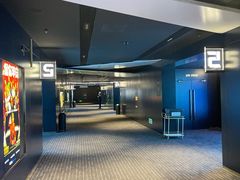 -奥斯卡升龙国际影城(RealD Cinema)